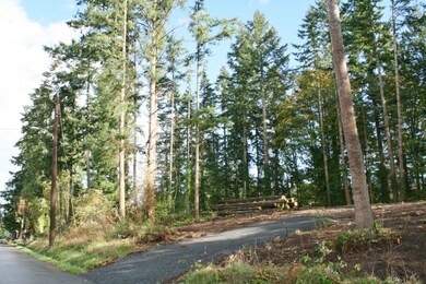 187 92nd Dr NW, Stanwood, WA 98292 - photo 5