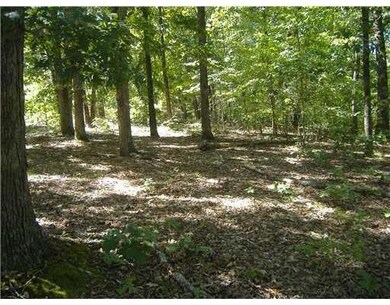 13 Drummore Dr, Bella Vista, AR 72715 - photo 7