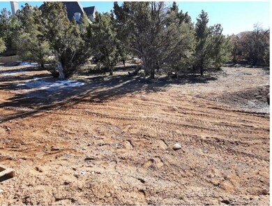 Lot 4 view from back