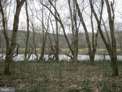 1150 Canoe River Dr, Rileyville, VA 22650 - photo 4