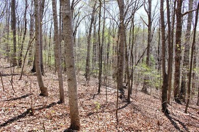 Wooded & Private