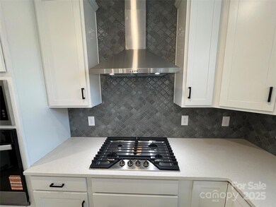 4449 Family Trail Dr, Indian Land, SC 29707 - photo 5