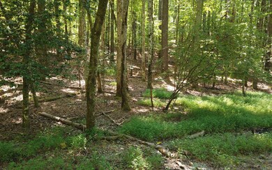 Additional View