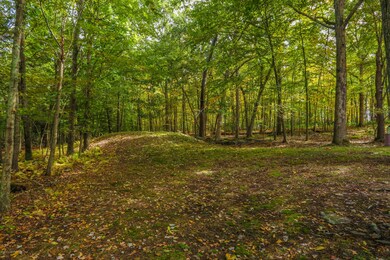 119 Quail Ct, Bushkill, PA 18324 - photo 4