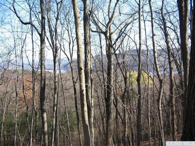 0 Route 385 unit 94946, Athens, NY 12015 - photo 5