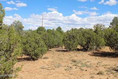 10 3044, Concho, AZ 85924 - photo 4