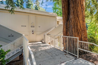 1400 Golden Rain Rd unit 3, Walnut Creek, CA 94595 - photo 3