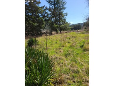 99076 Lone Pine Ln, Myrtle Point, OR 97458 - photo 3