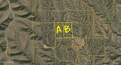 CRS Data - Property Map for  (37) - Copy