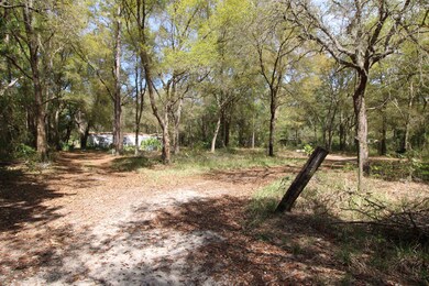 5360 County Road 208, Saint Augustine, FL 32092 - photo 3