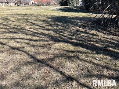 230 12th Ave, Moline, IL 61265 - photo 6