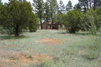 781 Bushman, Show Low, AZ 85901 - photo 2