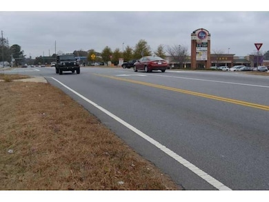 8461 Hiram Acworth Hwy, Dallas, GA 30157 - photo 6