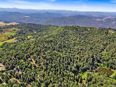 22520 Greenfield Way, Palomar Mountain, CA 92060 - photo 6