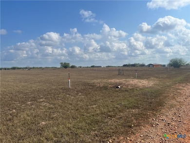 255 Salt Grass Ln, Victoria, TX 77904 - photo 3