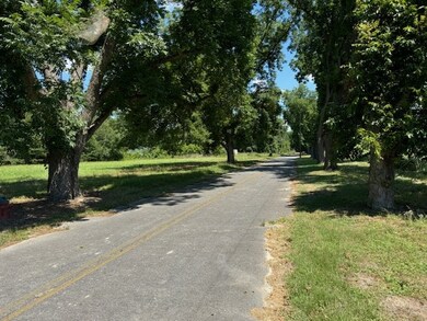 0 Haralson St unit 137599, Rebecca, GA 31783 - photo 5