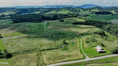 3250 Old Ducktown Rd, Limestone, TN 37681 - photo 2