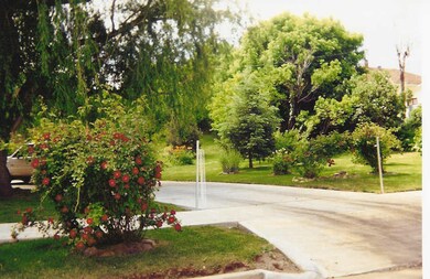 yard
