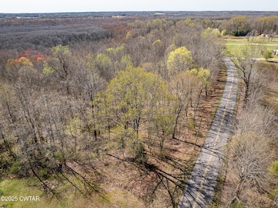 4489 Spring Creek Rd, Lavinia, TN 38348 - photo 2