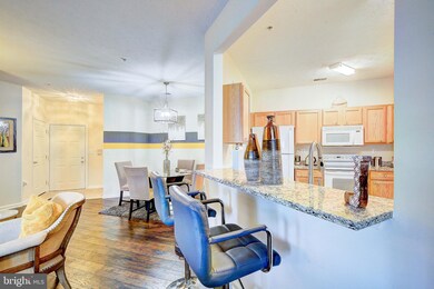 2495 Amber Orchard Ct E unit U204, Odenton, MD 21113 - photo 7