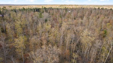 40-web-or-mls-DJI_0291