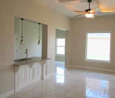 501 Pink Bugambilia, Pharr, TX 78577 - photo 5