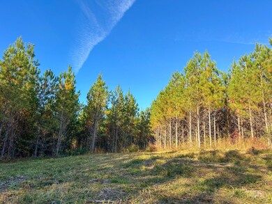 0 Jordon Rd unit 25580264, Waverly Hall, GA 31831 - photo 6