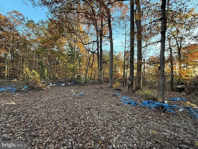 11400 Railroad Ln, Locust Grove, VA 22508 - photo 6