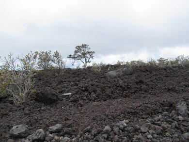 0 Lurline Ln unit 708973, Ocean View, HI 96737 - photo 4