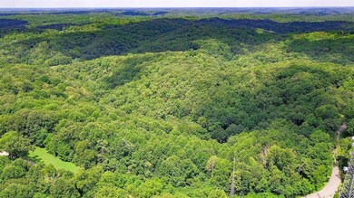 1337 Highway 64 W, Shelbyville, TN 37160 - photo 5