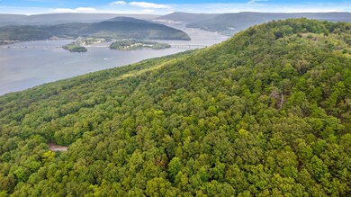 0 N Bluffs Rd unit RTC2709836, South Pittsburg, TN 37380 - photo 2