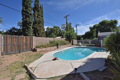 Backyard 1