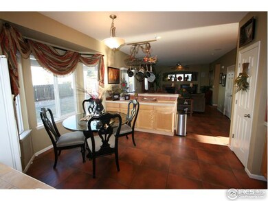222 Beldock Ct, Brighton, CO 80601 - photo 5