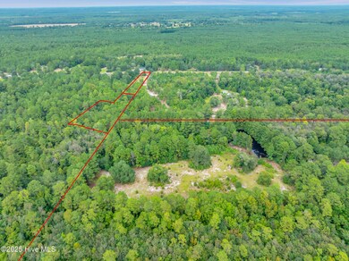 6715 Canetuck Rd, Currie, NC 28435 - photo 5