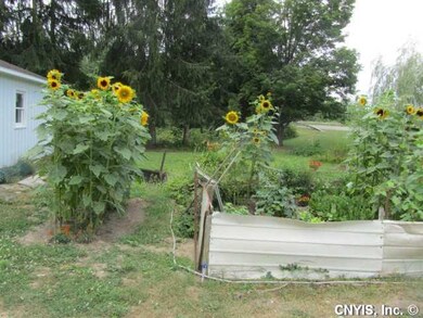 Yard/Garden
