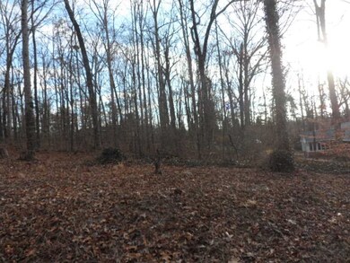 117 Shannon Dr, Pendleton, SC 29670 - photo 6