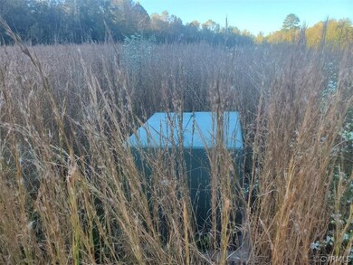 10610 County Dr, Disputanta, VA 23842 - photo 5