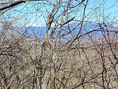 0 SW Lovhar Dr, Gresham, OR 97080 - photo 4