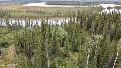1327.6 B2 Alaska Hwy, Tok, AK 99780 - photo 5