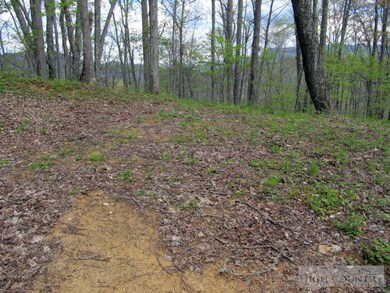 Homesite