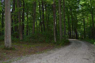 idyllic approach along the driveway