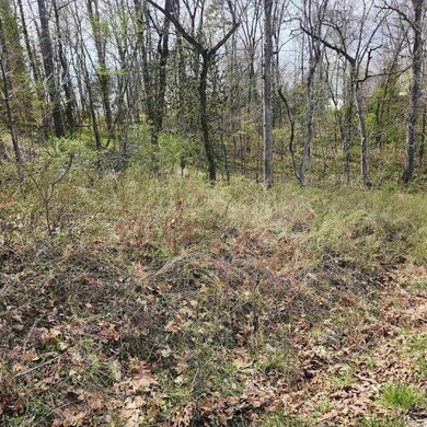 L-6, B-4 Tomahawk Dr, Cherokee Village, AR 72529 - photo 5