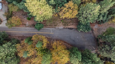 17686 S Mace Dr, Pioneer, CA 95666 - photo 5