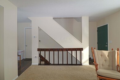 IMG_7009_edited-1