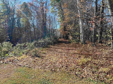 35 Indian Pond Rd, Orford, NH 03777 - photo 7