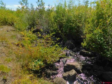 Lot 12 Aspen Hills Rd, Cedaredge, CO 81413 - photo 4