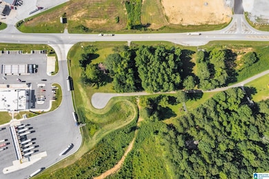 0 Highway 46 unit 1.9 21430374, Heflin, AL 36264 - photo 6