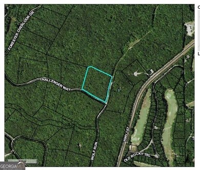 49 Challenger Way, Menlo, GA 30731 - photo 4