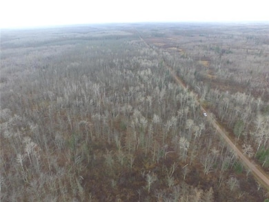 0 N Fire Lane Road Rd unit 6628433, Danbury, WI 54830 - photo 6