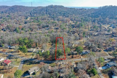 1409 Pine Tree Dr, Birmingham, AL 35235 - photo 7